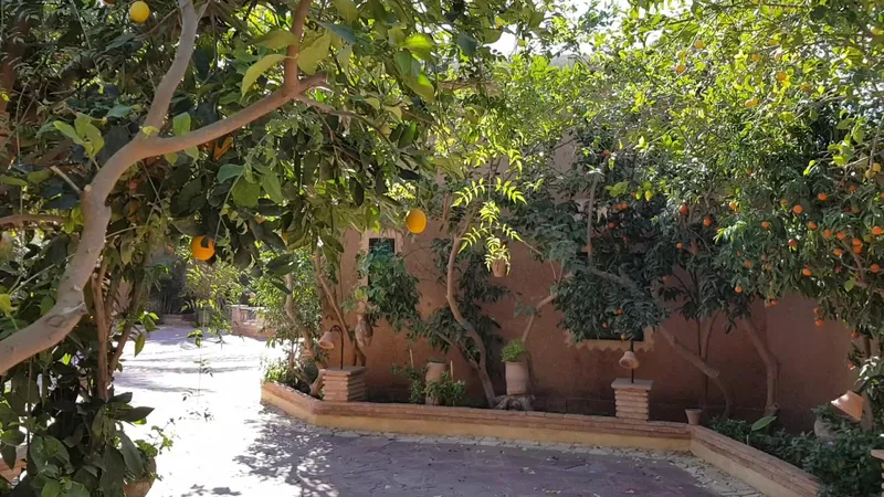 Riad Jnane Ines photo 1