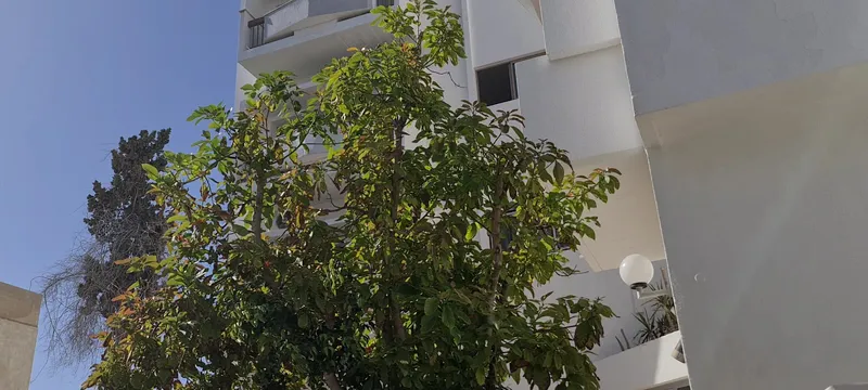 Hotel Aferni photo 3