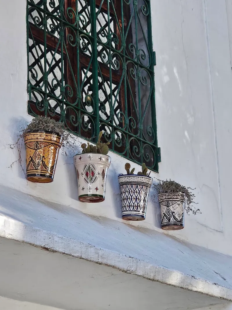 رياض العشاق photo 1