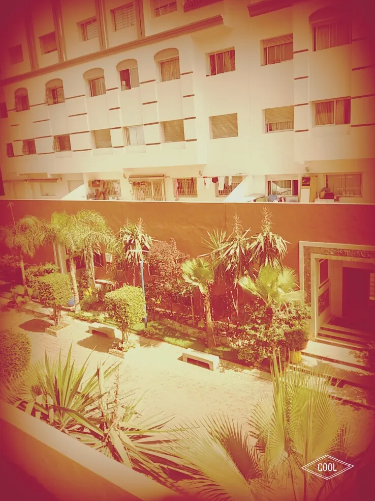 RIAD ALHAMD photo 3