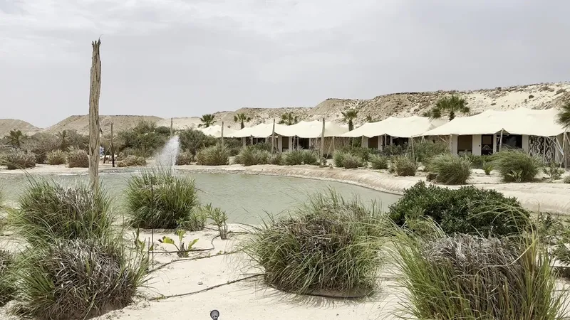 Dunes de Dakhla photo 4