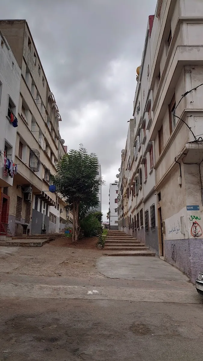 Riad El Ali photo 2