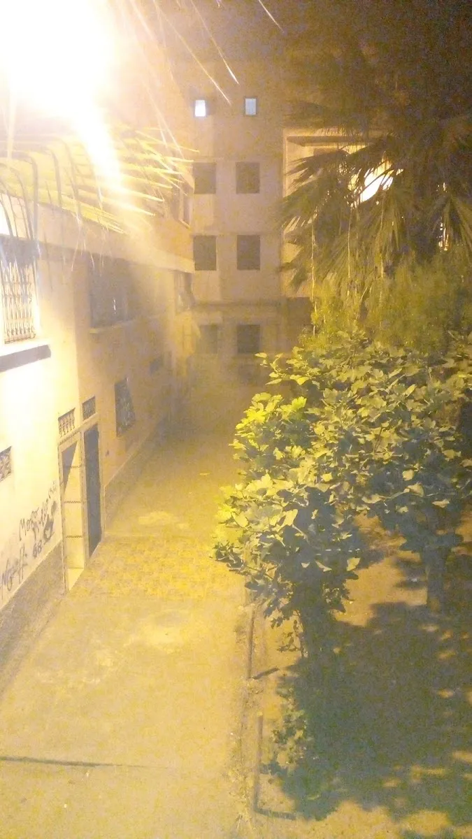 Riad El Ali photo 3
