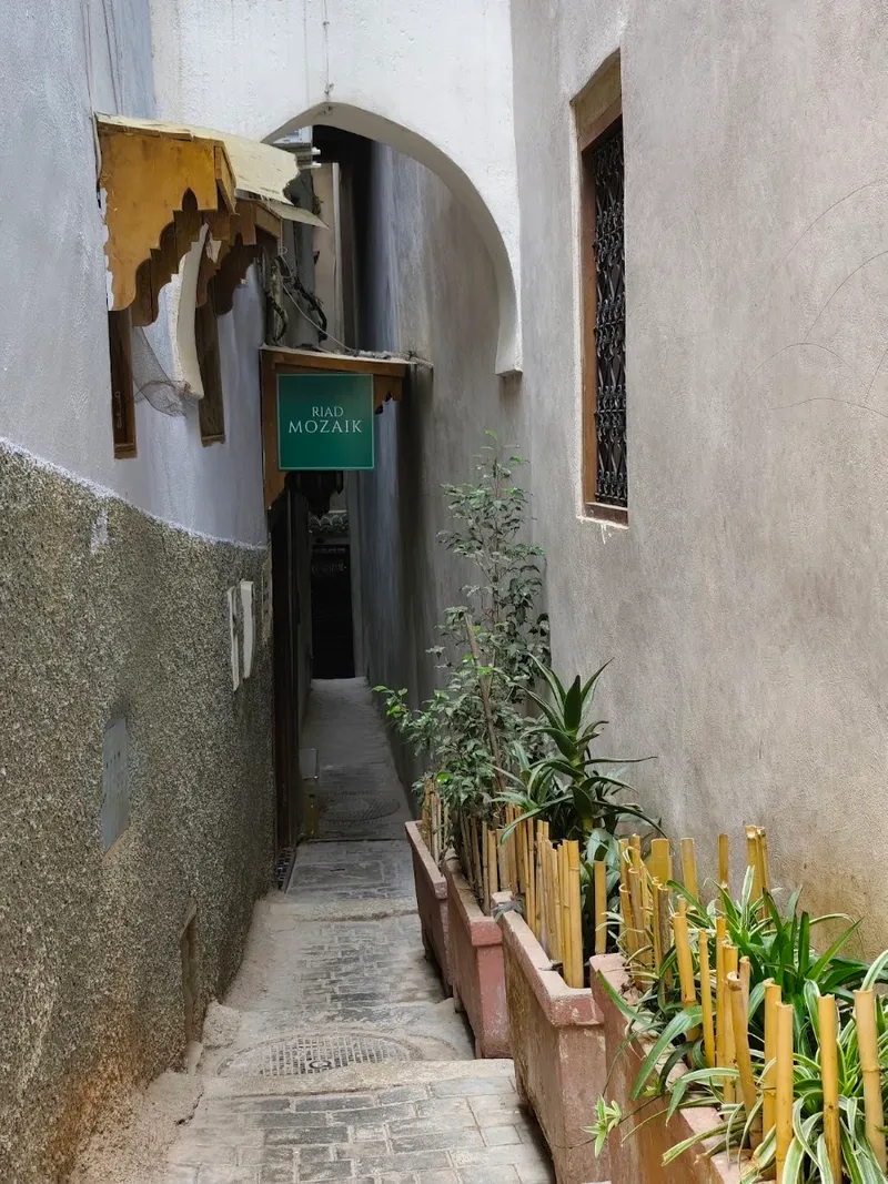 Riad Mozaik photo 1