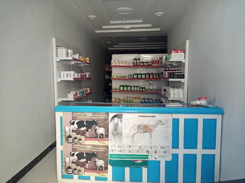 Cabinet Veterinaire Errachidia photo 3