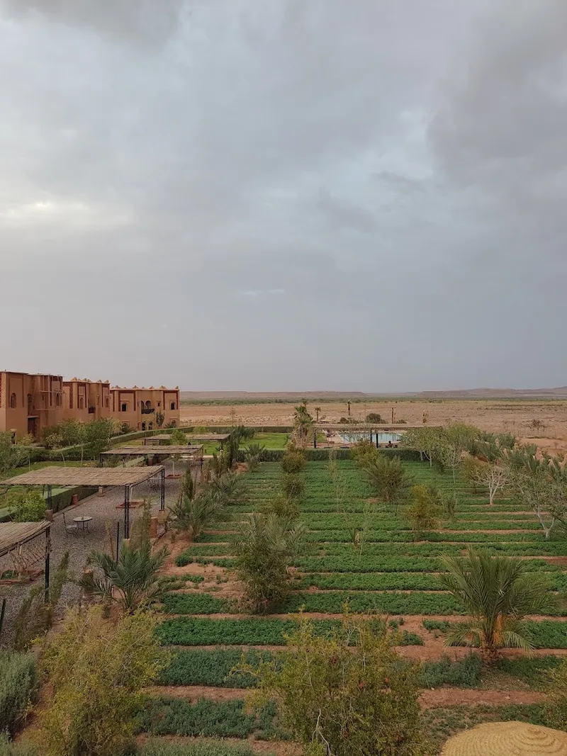 Photo 2 de Ecolodge L'île de Ouarzazate