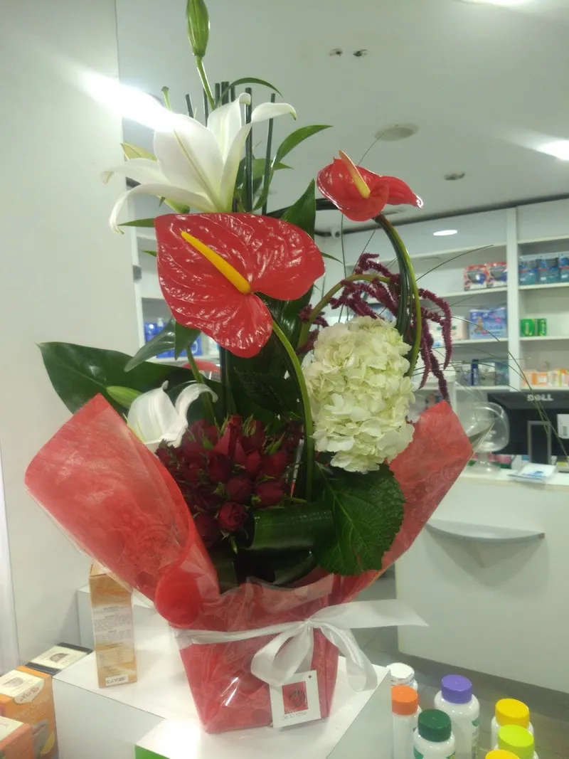 صورة 1 من Pharmacie du Phare