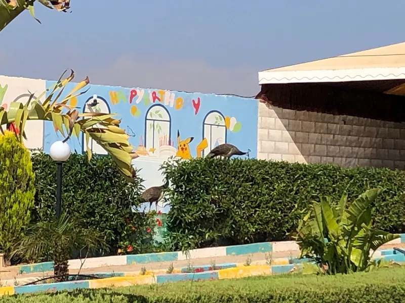 Photo 2 de Complexe Riad Bni Oukil