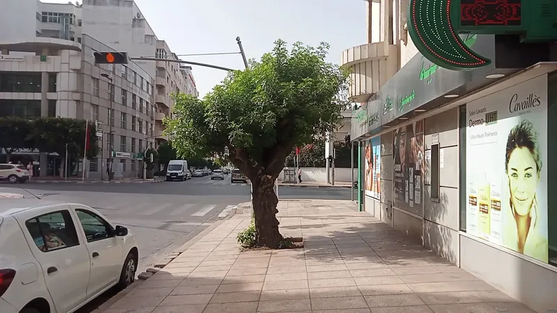 صورة 2 من Mimosas Pharmacy