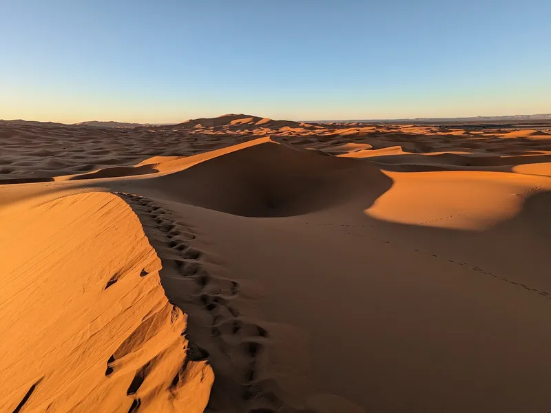 Photo 2 de مركز بنموسى لطب وجراحة العيون