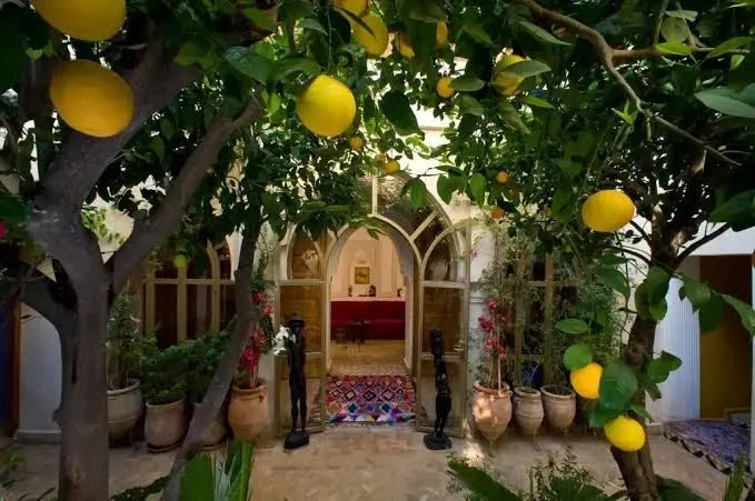 Riad Jardin Secret photo 3
