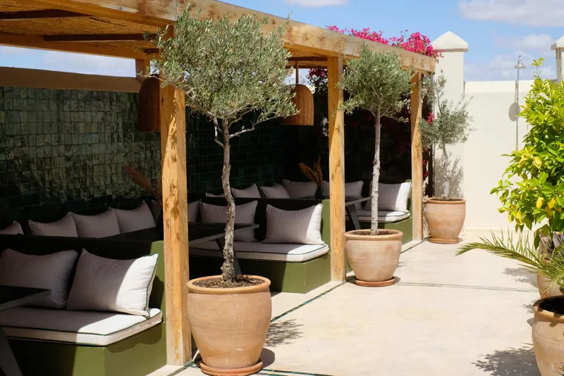 RIAD AZZAR photo 1