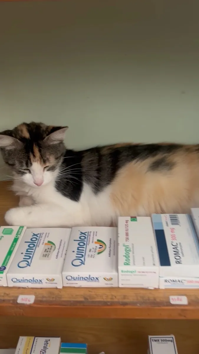 Pharmacie Essalam photo 3