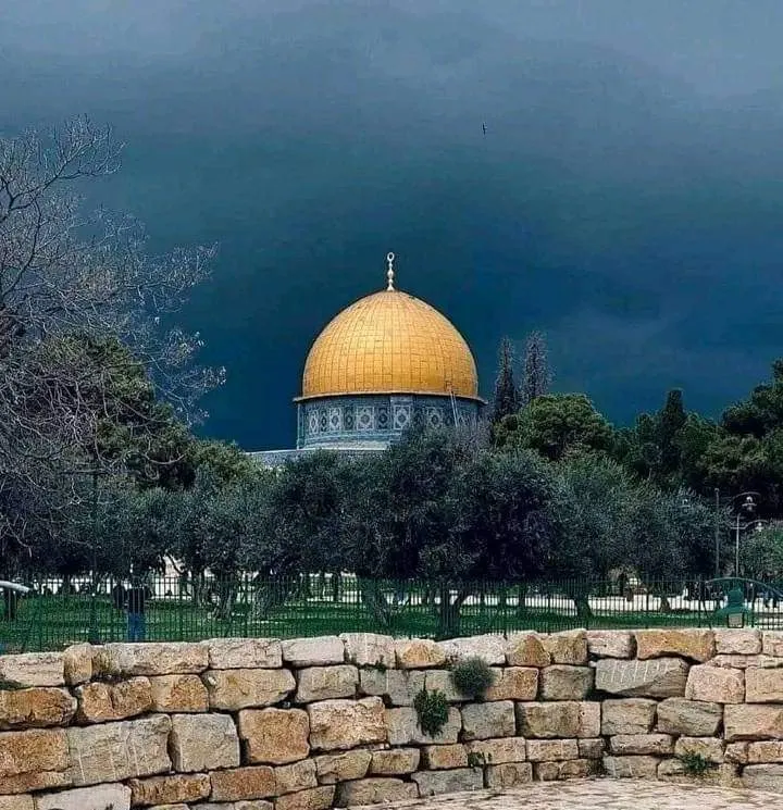 صورة 2 من Hammam Bouhdima