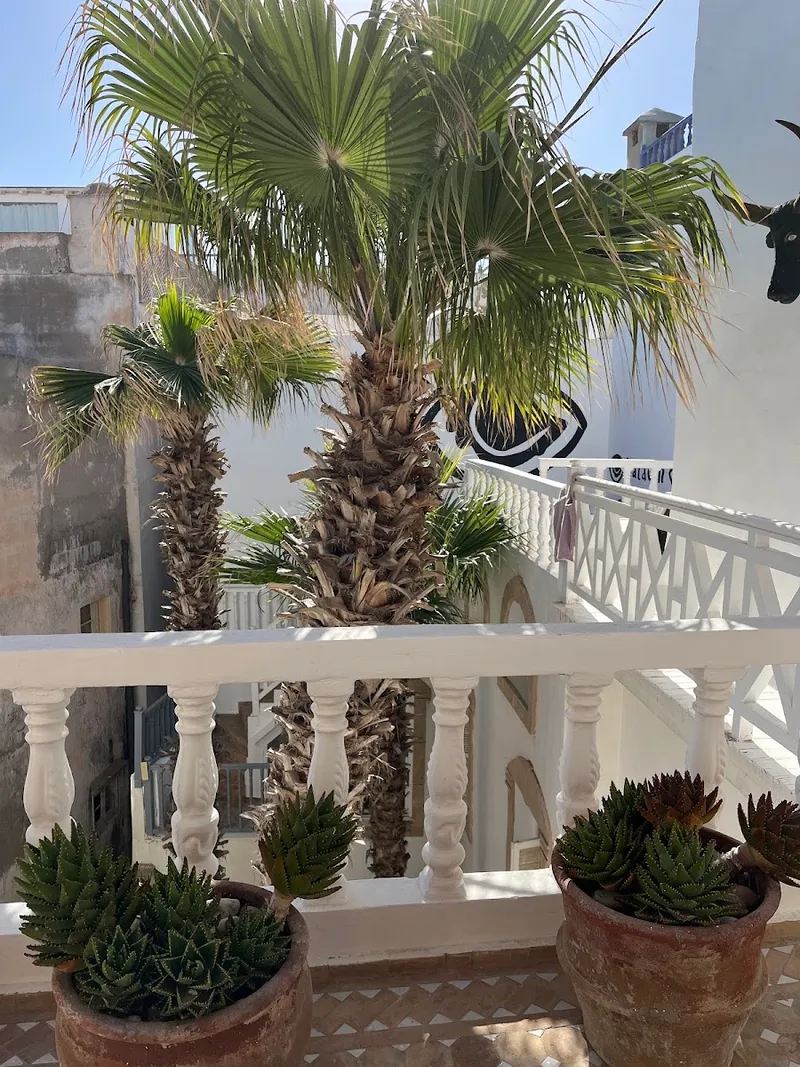 Riad Baladin photo 4