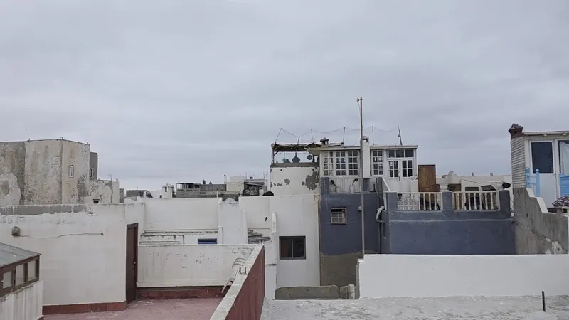 Riad Baladin photo 3