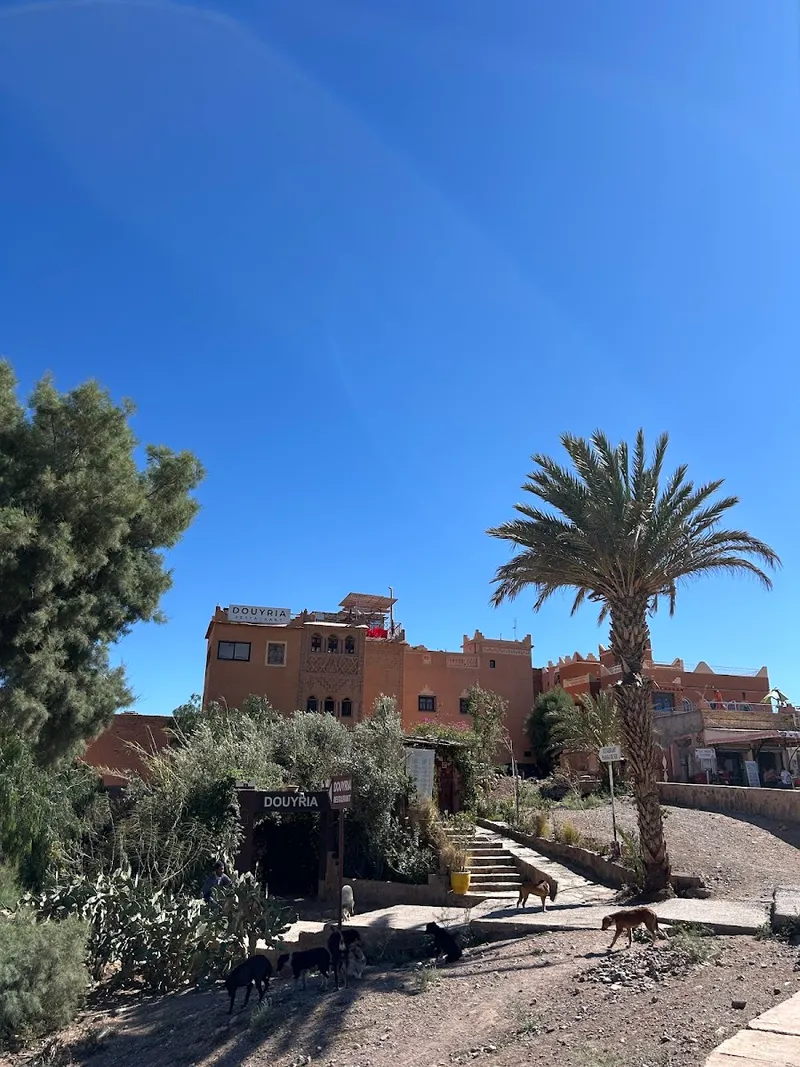 صورة 4 من Manar du Sud : Café & Restaurant