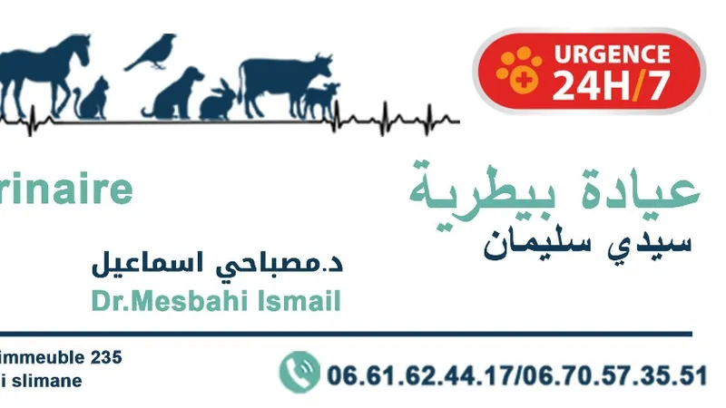 Cabinet vétérinaire Sidi Slimane - Dr MESBAHI Ismail photo 3