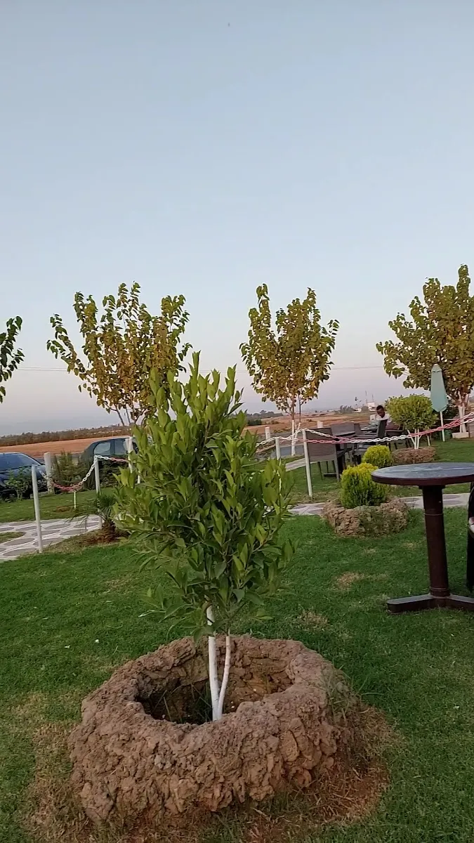 صورة 3 من مقهى الأخوين