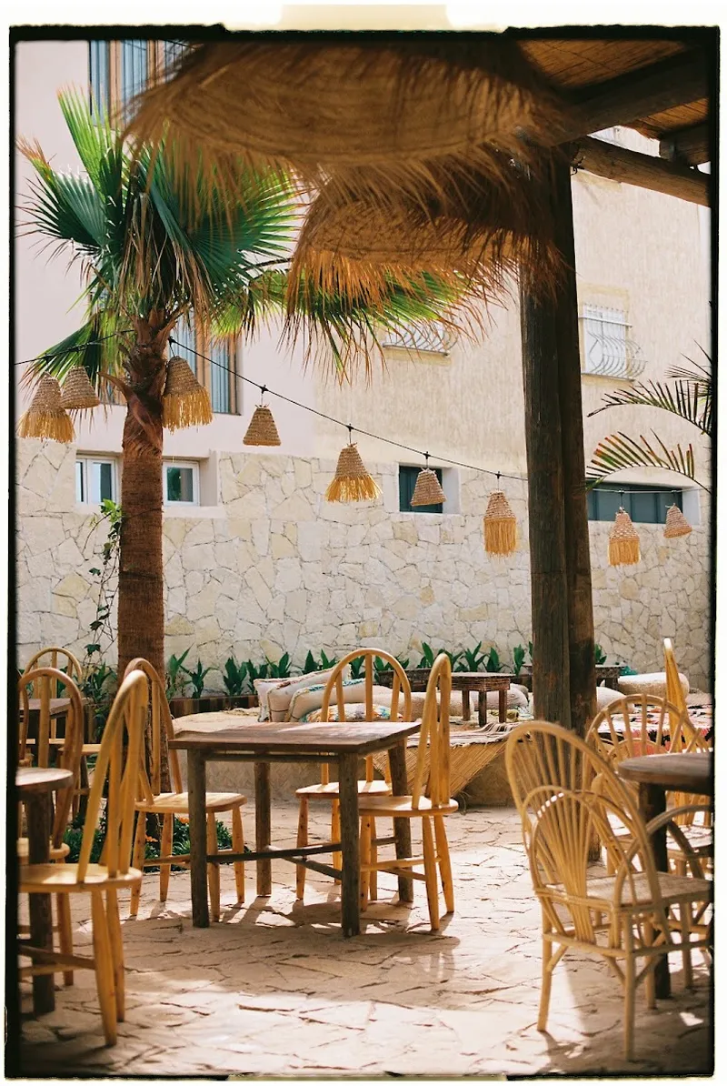 The Jungle - Specialty Coffee & Food photo 1