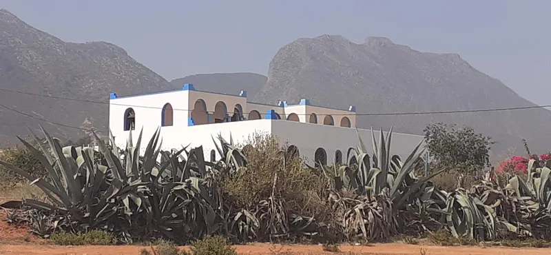 Riad Kebdana photo 4