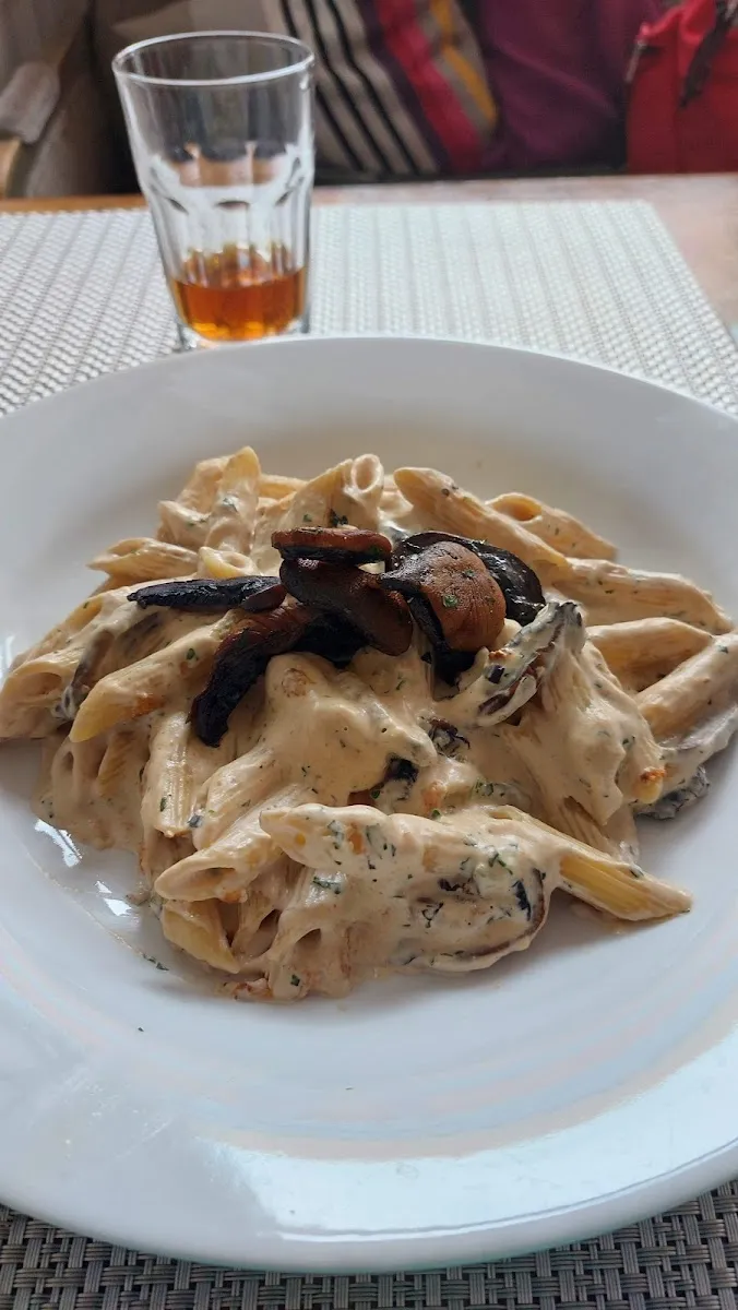 News Café نيوز كافيه photo 3