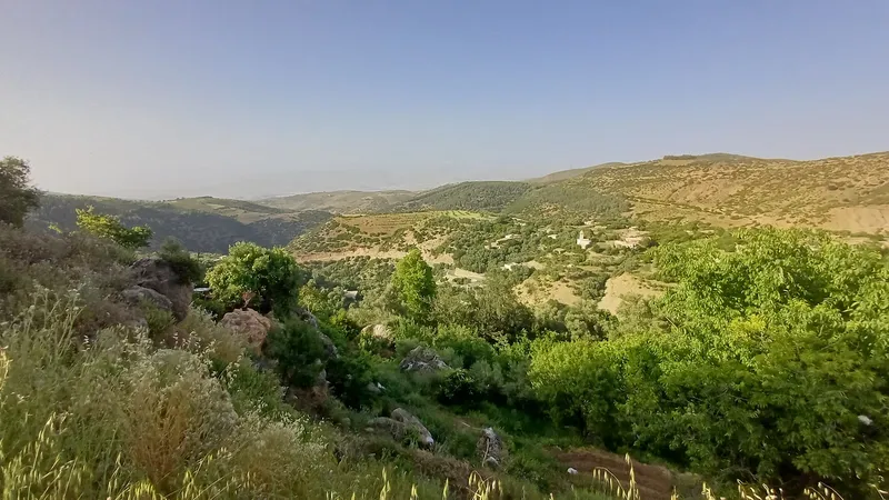 Photo 2 de Espace Ras El Oued