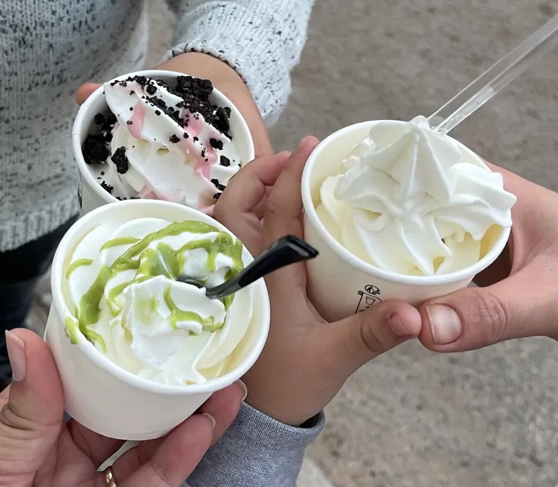صورة 4 من LAYALI NADOR | Sweets • Frozen Yogurt • Drinks